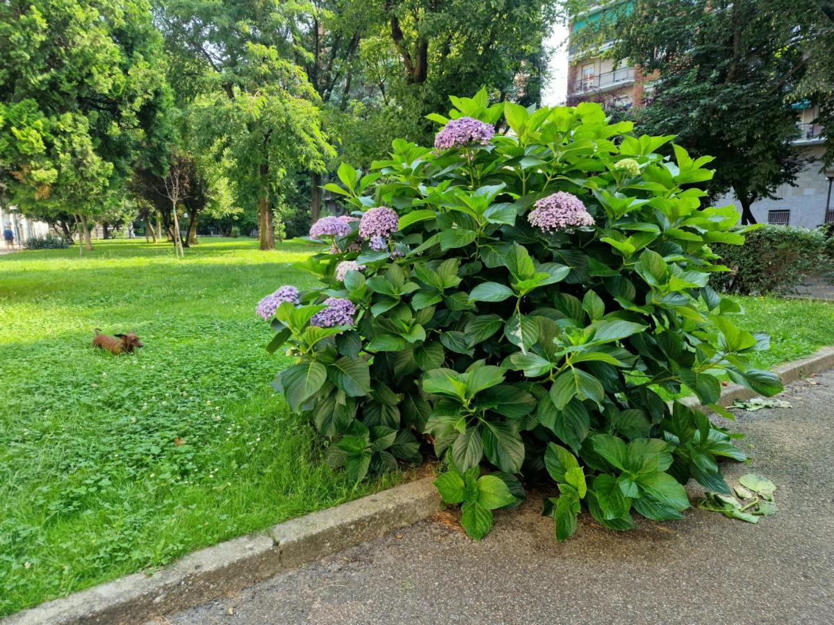 דירות מילאנו Giardino Sul Naviglio מראה חיצוני תמונה