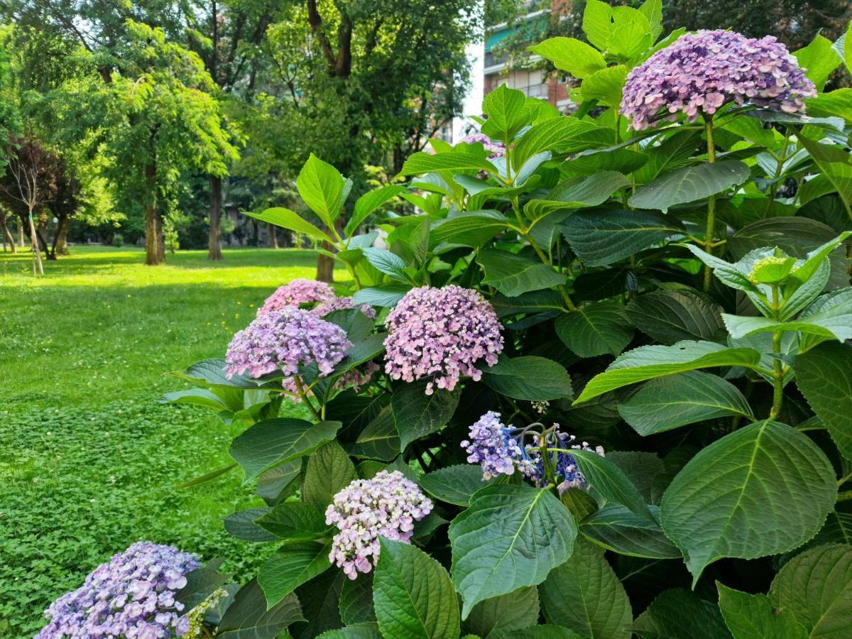 דירות מילאנו Giardino Sul Naviglio מראה חיצוני תמונה